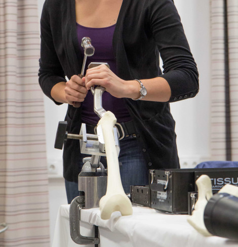 Workshop Endoprothetik