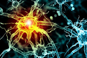 Zum Artikel "Forscherteam klärt Krankheitsmechanismen bei spastischer Lähmung auf"