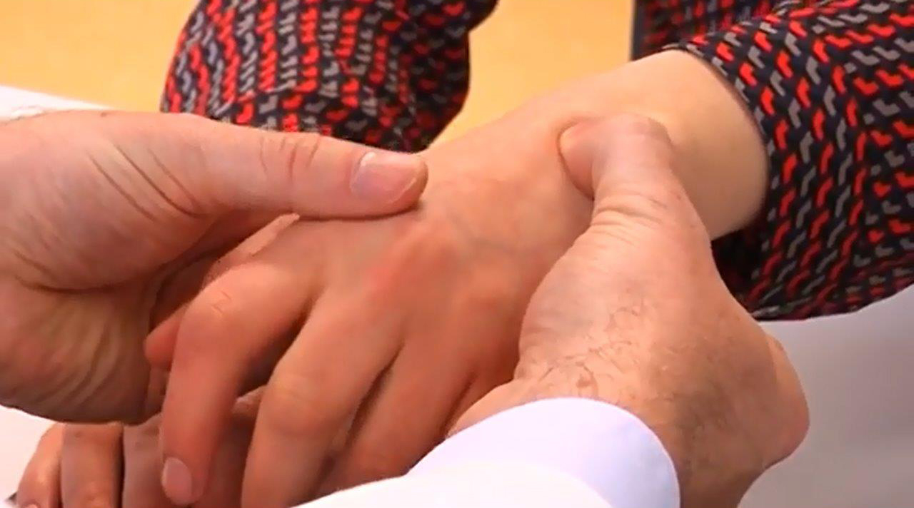 Zum Artikel "8,1 Millionen Euro Förderung für Versorgungsforschung"