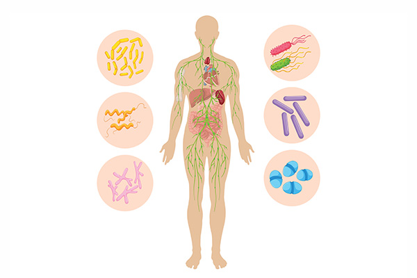 Zum Artikel "Wichtige Botenstoffe für das Immunsystem"