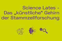 Zum Artikel "Science Slam: das „künstliche“ Gehirn der Stammzellforschung"
