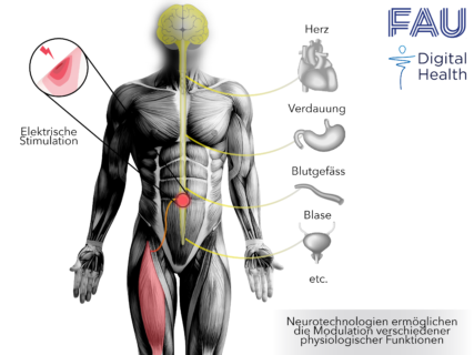 Zum Artikel "Effektivere Behandlung dank digitalem Zwilling"