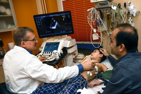 Symbolbild zum Artikel. Der Link öffnet das Bild in einer großen Anzeige.