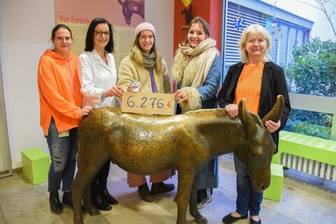 Symbolbild zum Artikel. Der Link öffnet das Bild in einer großen Anzeige.