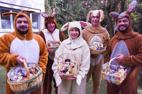 Symbolbild zum Artikel. Der Link öffnet das Bild in einer großen Anzeige.