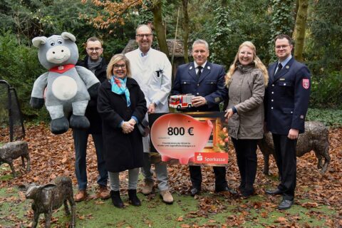 Symbolbild zum Artikel. Der Link öffnet das Bild in einer großen Anzeige.