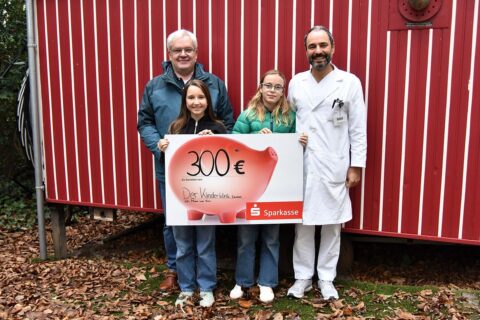 Symbolbild zum Artikel. Der Link öffnet das Bild in einer großen Anzeige.