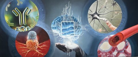 Zur Seite: Forschungsschwerpunkte