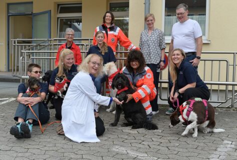 Symbolbild zum Artikel. Der Link öffnet das Bild in einer großen Anzeige.