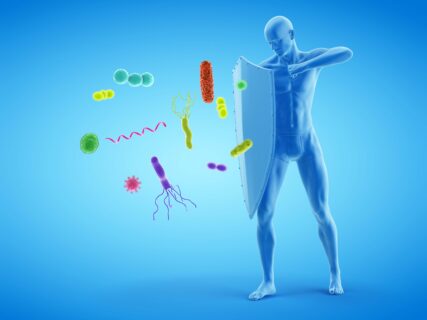 Symbolbild zum Artikel. Der Link öffnet das Bild in einer großen Anzeige.