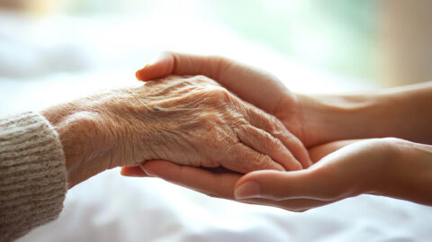 Symbolbild zum Artikel. Der Link öffnet das Bild in einer großen Anzeige.