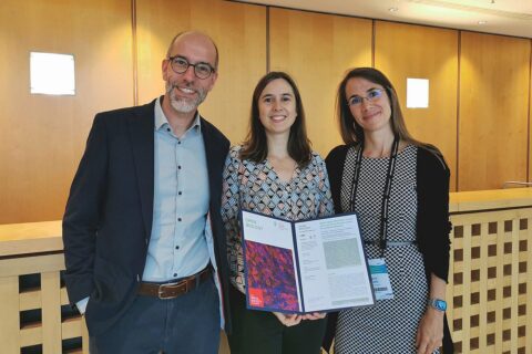 Symbolbild zum Artikel. Der Link öffnet das Bild in einer großen Anzeige.