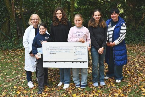 Symbolbild zum Artikel. Der Link öffnet das Bild in einer großen Anzeige.