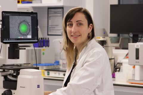 Symbolbild zum Artikel. Der Link öffnet das Bild in einer großen Anzeige.