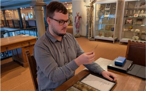 Symbolbild zum Artikel. Der Link öffnet das Bild in einer großen Anzeige.