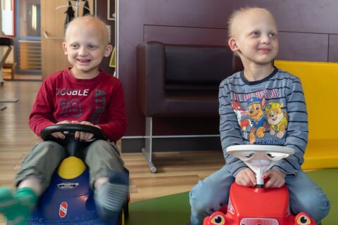 Symbolbild zum Artikel. Der Link öffnet das Bild in einer großen Anzeige.